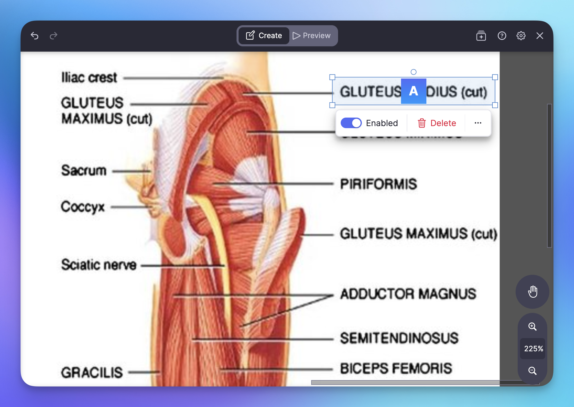 Customizing occlusion boxes on handwritten diagrams