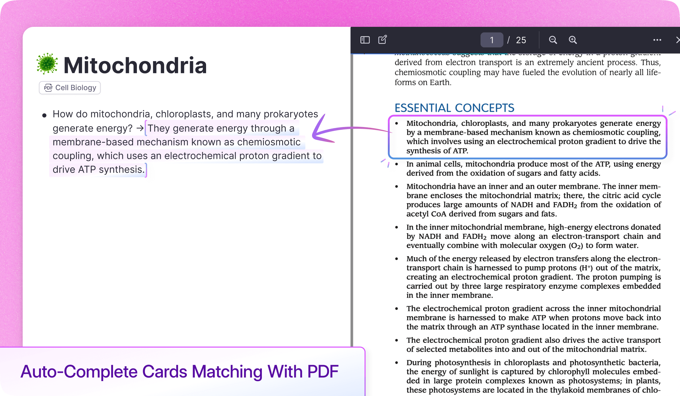AI Tab Completion using PDF context to suggest flashcard answers