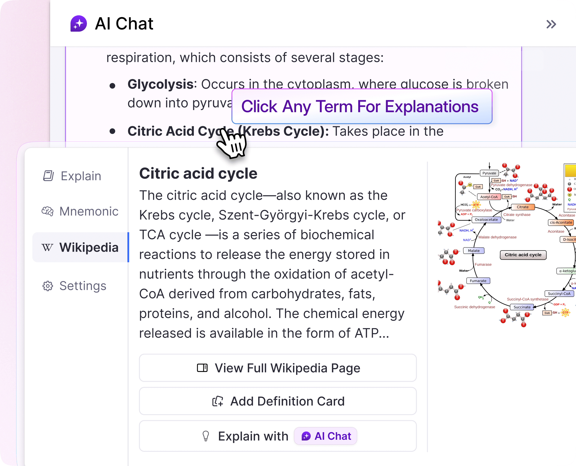 AI tutor providing detailed explanations for flashcards