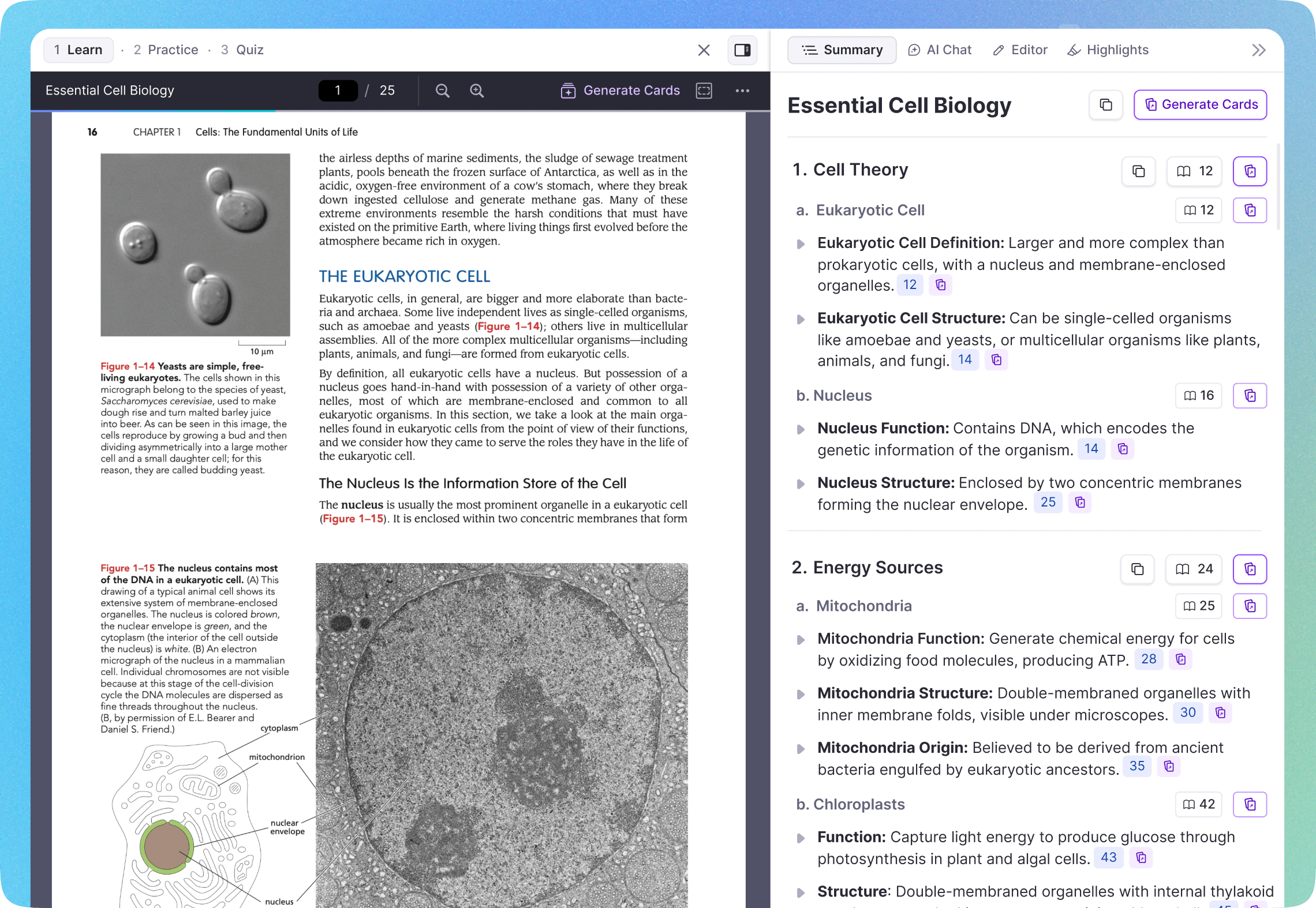 PDF with flashcards available offline