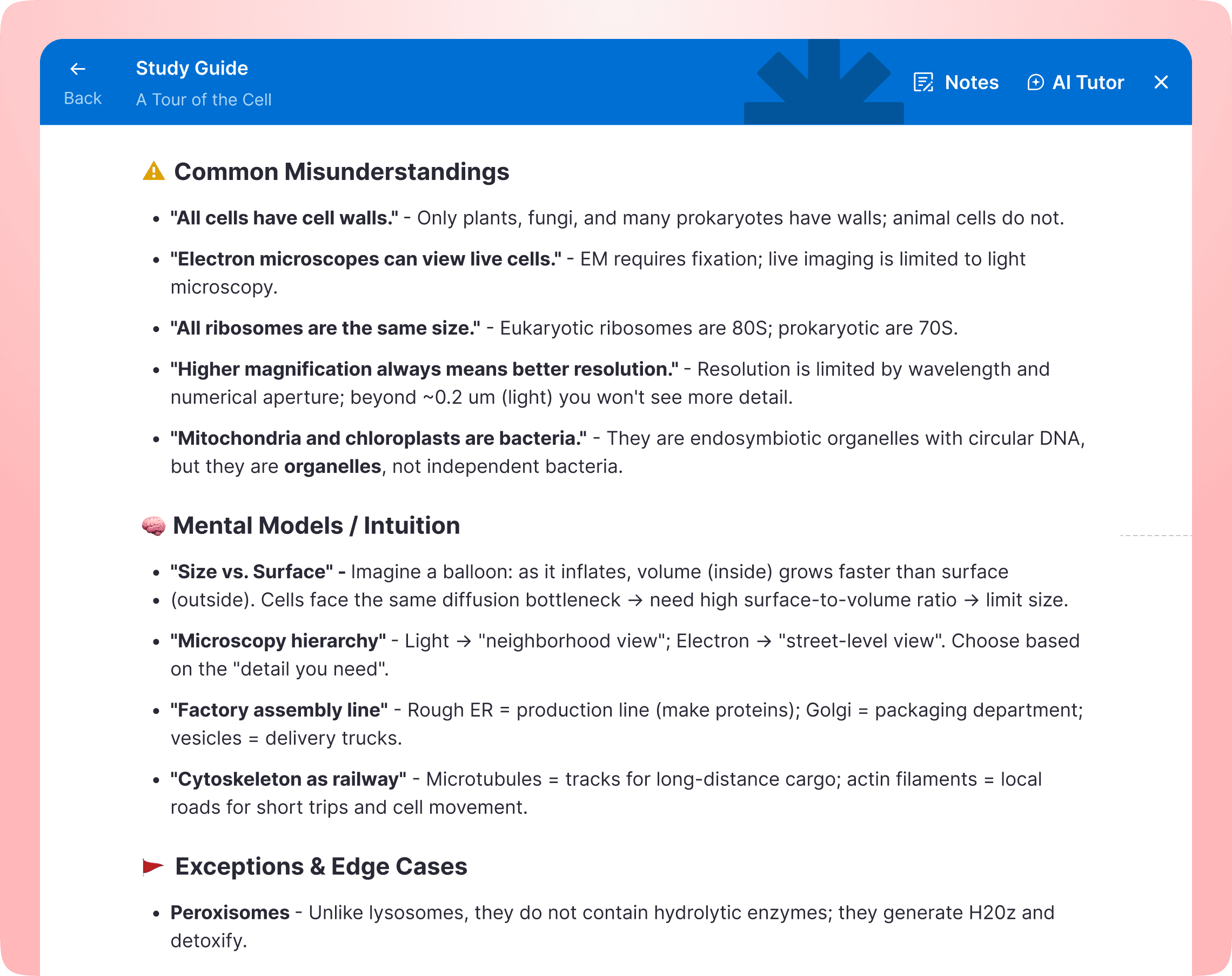AI-generated study guide with common misunderstandings and mental models