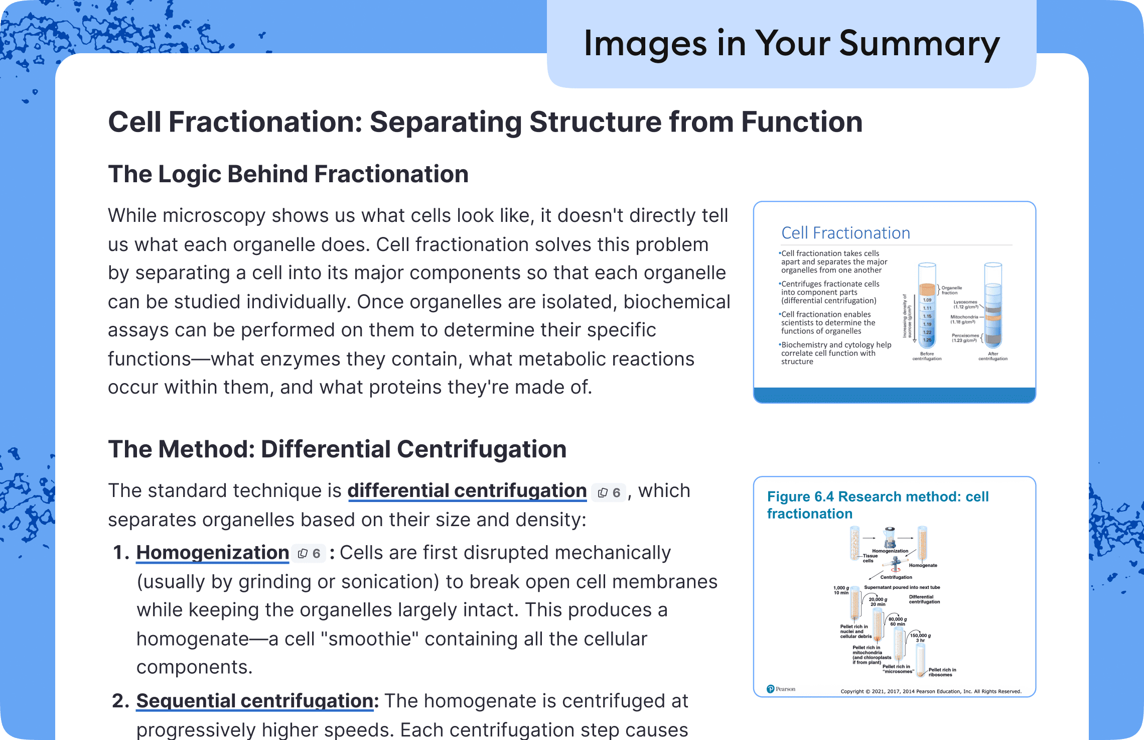 AI-generated summary with embedded PDF images and key term explanations