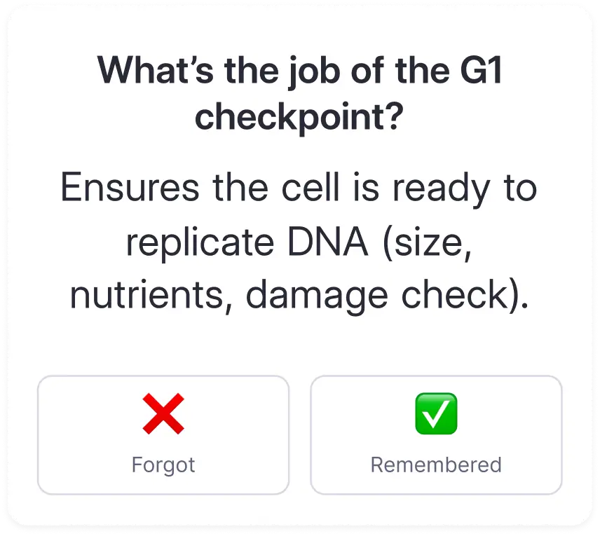 Question and answer flashcard example in RemNote