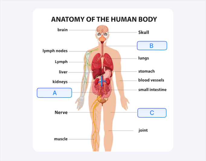 research study notes